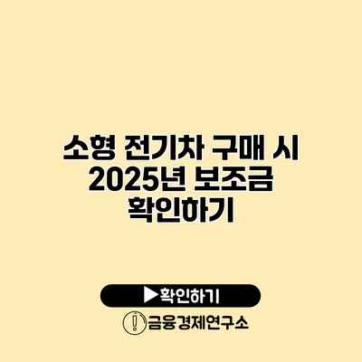 소형 전기차 구매 시 2025년 보조금 확인하기