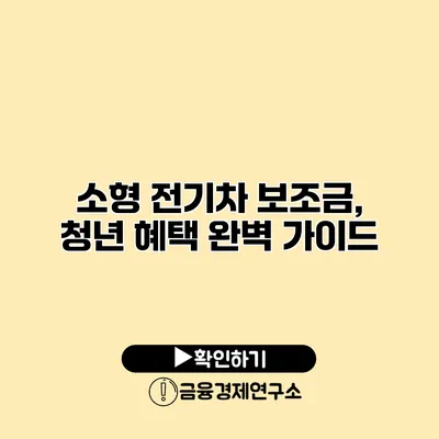 소형 전기차 보조금, 청년 혜택 완벽 가이드