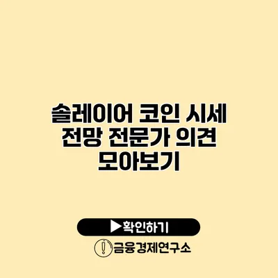 솔레이어 코인 시세 전망 전문가 의견 모아보기