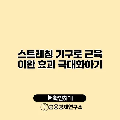 스트레칭 기구로 근육 이완 효과 극대화하기