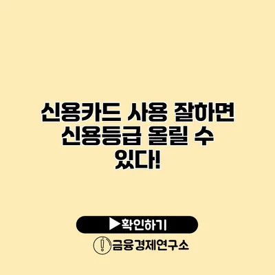 신용카드 사용 잘하면 신용등급 올릴 수 있다!