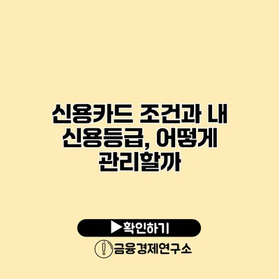 신용카드 조건과 내 신용등급, 어떻게 관리할까?