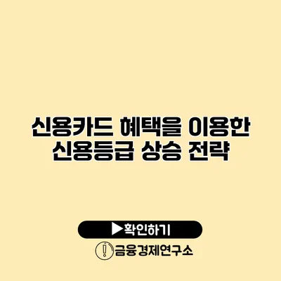 신용카드 혜택을 이용한 신용등급 상승 전략