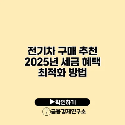 전기차 구매 추천 2025년 세금 혜택 최적화 방법