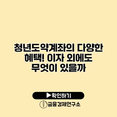 청년도약계좌의 다양한 혜택! 이자 외에도 무엇이 있을까?