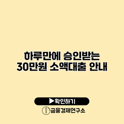 하루만에 승인받는 30만원 소액대출 안내