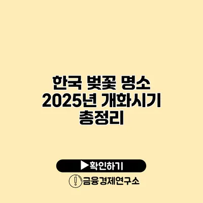 한국 벚꽃 명소 2025년 개화시기 총정리